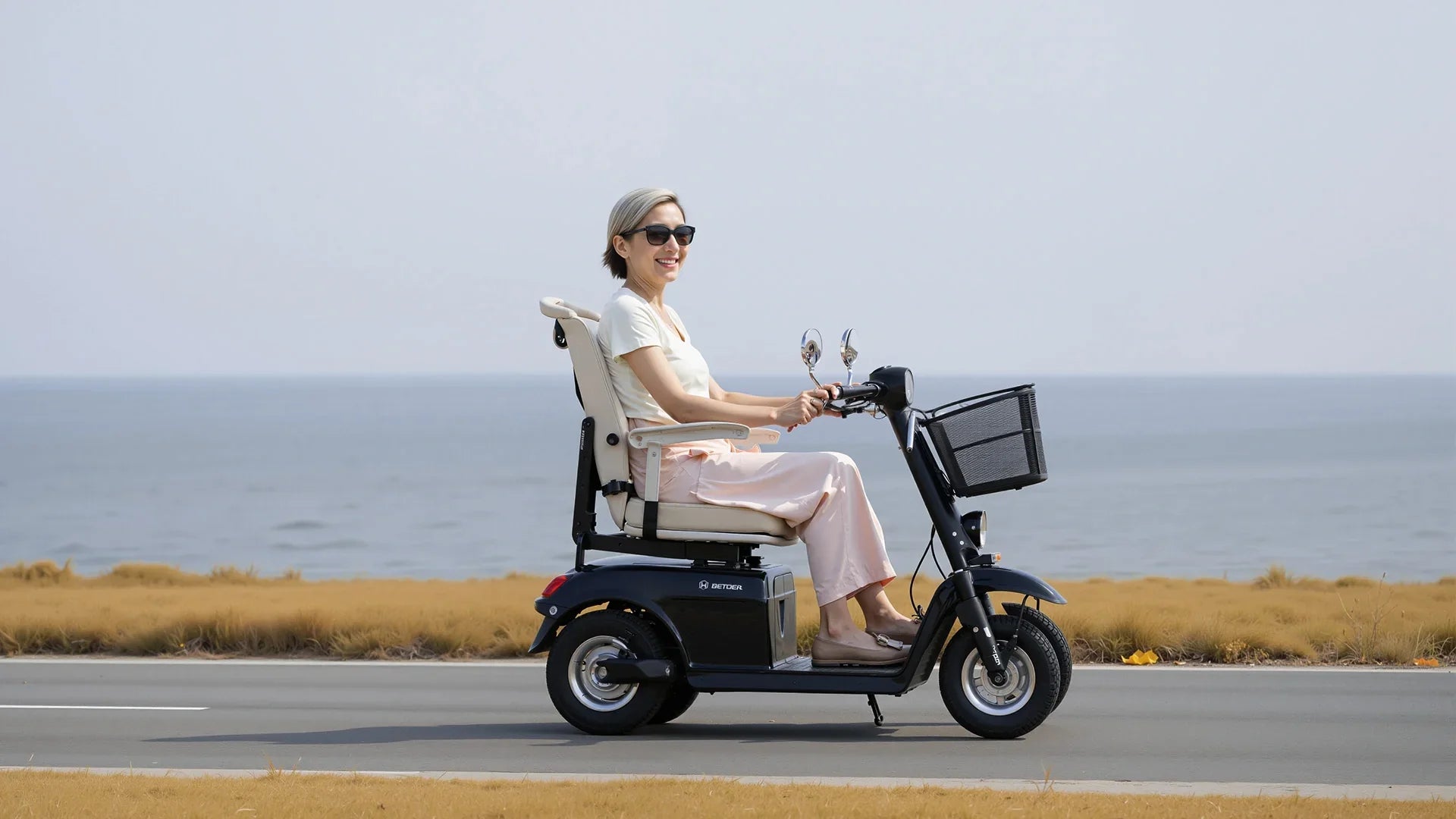 Mobility Scooter Batteries