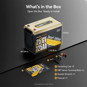 Batterie LiFePO4 Power Queen 12 V 200 Ah