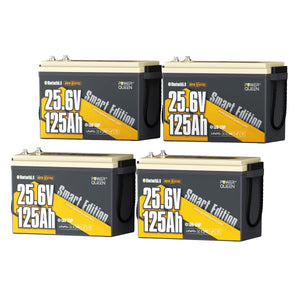 Batterie LiFePO4 Power Queen 12 V 200 Ah