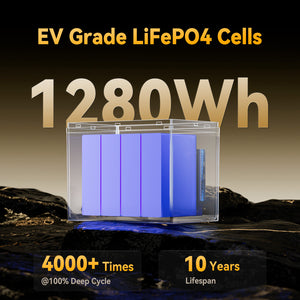 [Like New] Power Queen 12V 100Ah Group 24 Deep Cycle Lithium Battery