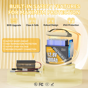 Power Queen 12V 100Ah Mini LiFePO4 Battery+14.6V 20A charger