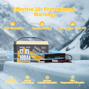 Batterie LiFePO4 intelligente basse température Power Queen 12 V 100 Ah + chargeur 14,6 V 20 A