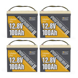 Power Queen 12V 100Ah Mini LiFePO4 Battery