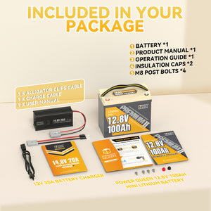 Power Queen 12V 100Ah Mini LiFePO4 Battery+14.6V 20A charger