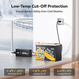 Power Queen 12V 125Ah Group27 Smart Deep Cycle Lithium Battery