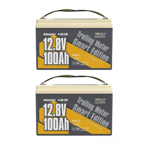 Batterie lithium-ion à décharge profonde Power Queen 12 V 100 Ah, basse température