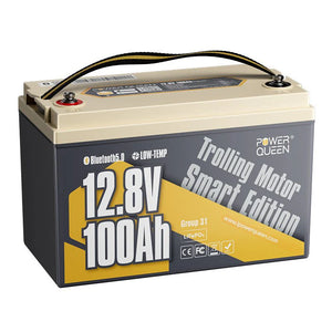 Batterie lithium-ion à décharge profonde Power Queen 12 V 100 Ah, basse température