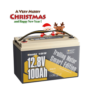Power Queen 12V 100Ah Low-Temp Smart Deep Cycle Lithium Battery