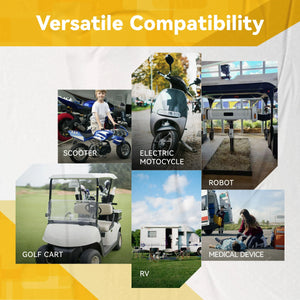 [Comme neuf] Moniteur de batterie Power Queen 500A avec shunt