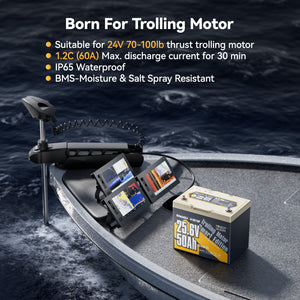 Batterie LiFePO4 Power Queen 12 V 200 Ah