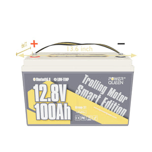 Power Queen 12V 100Ah Low-Temp Smart LiFePO4 Battery + 14.6V 20A Charger
